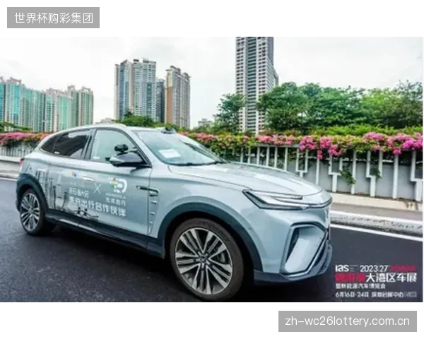 粤港澳大湾区协同平台验证新备案标准，社会体育指导员信用记录成为组织准入前置条件